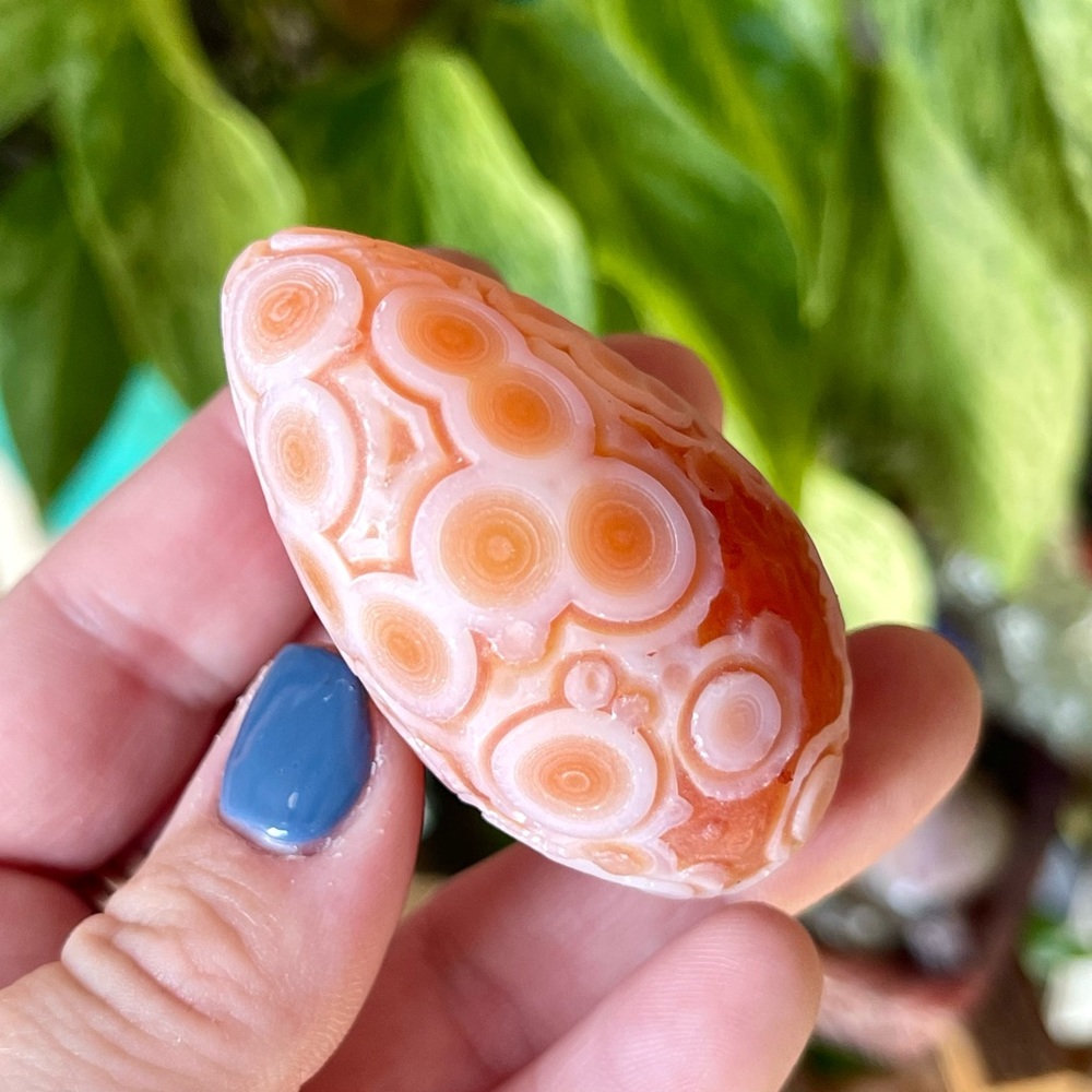 🧡Orbicular Gobi Agate Crystal Specimen Inner Mongolia🧡 - Picture 4 of 5